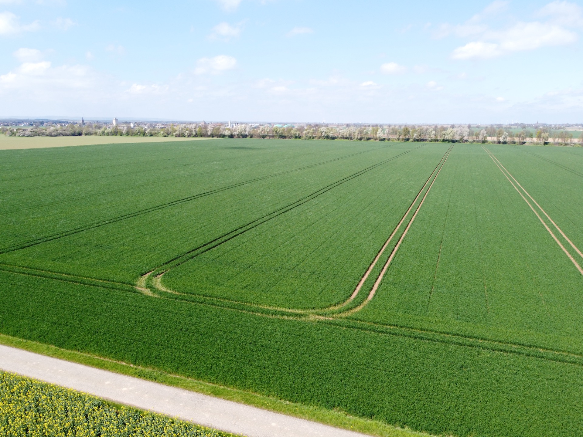 16ha Vettweis